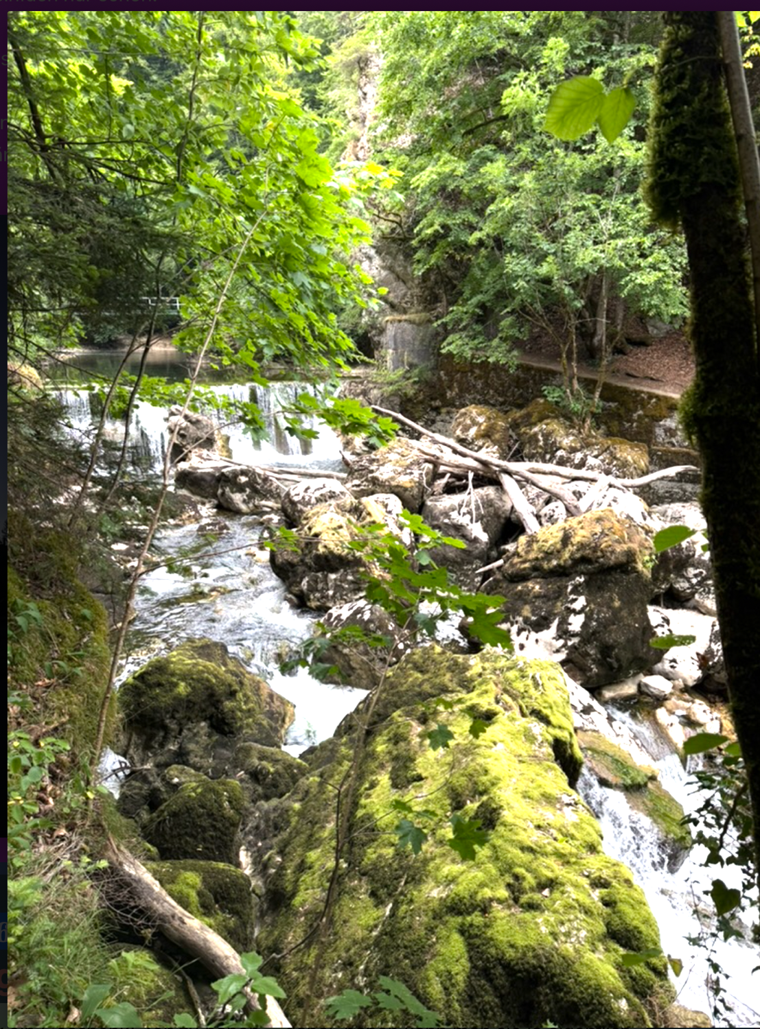 Areuse