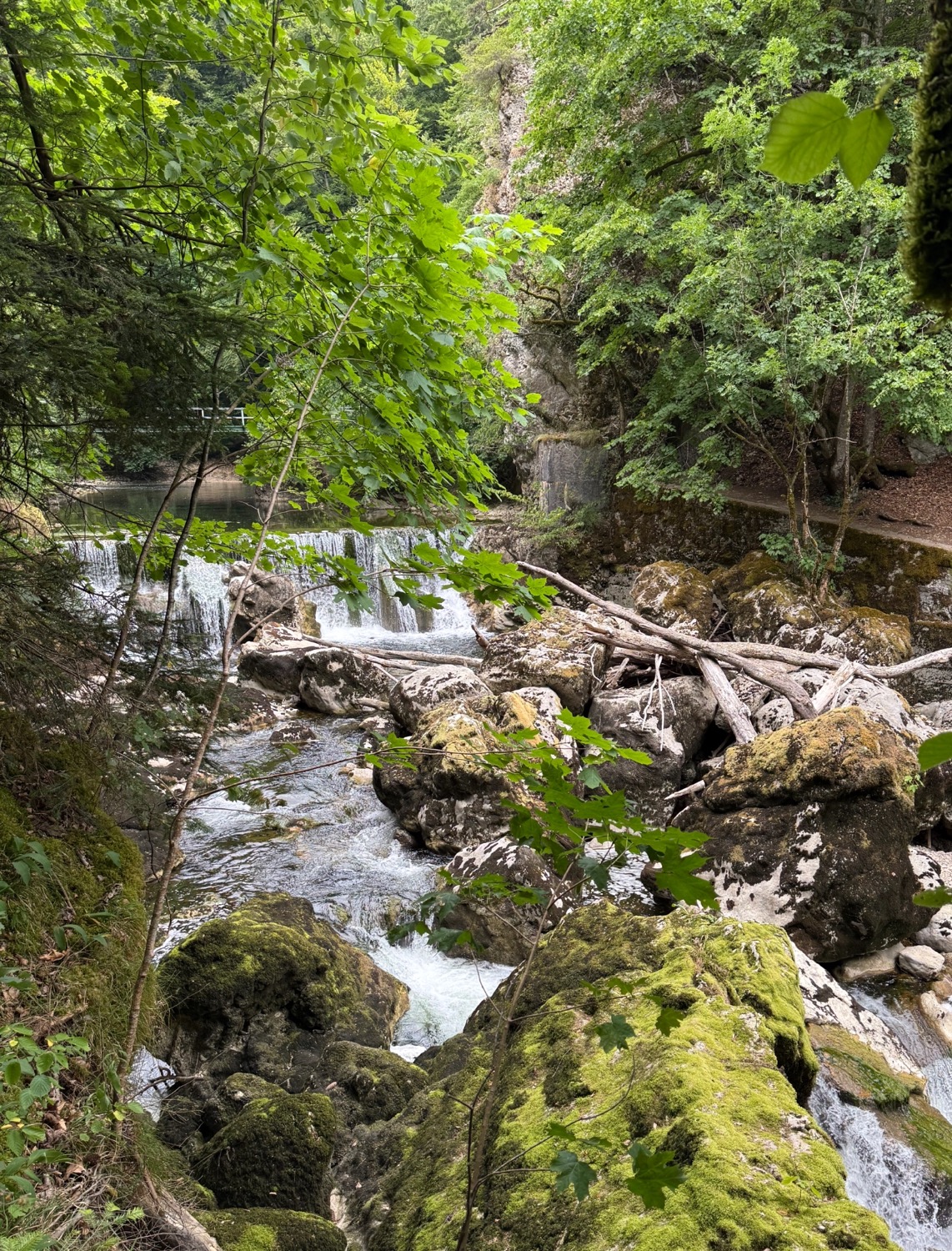 Areuse_5143