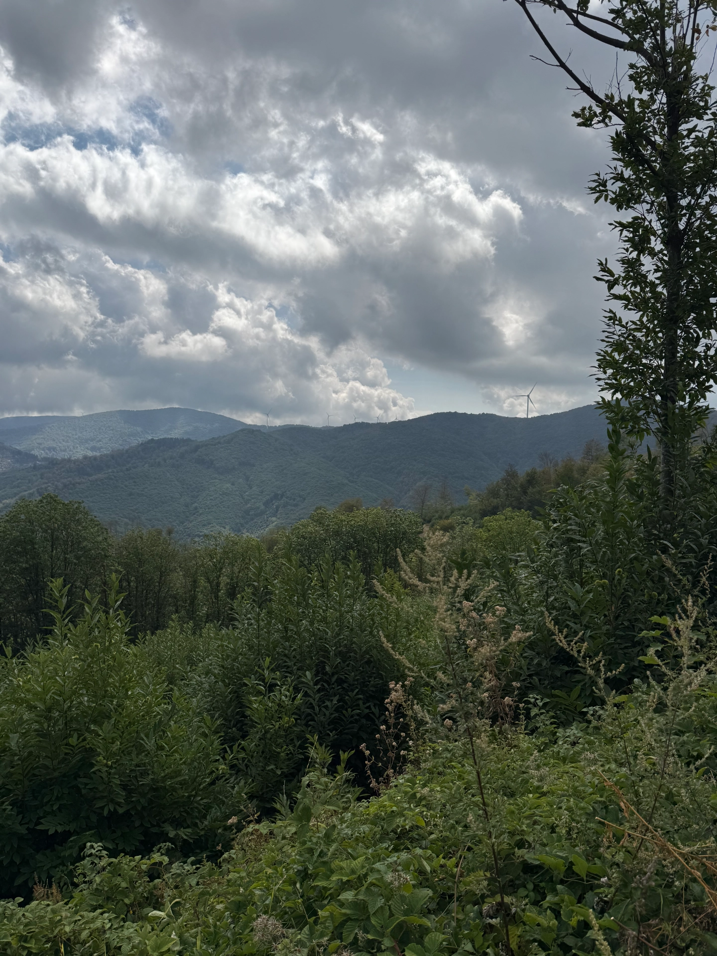 PiemontWolken_5399