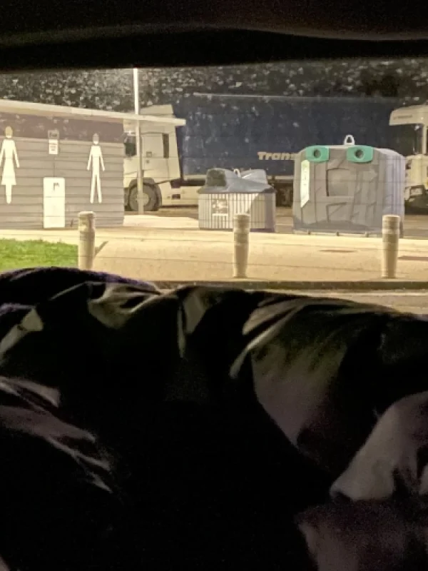 07 BlickAusDemSchlafsack