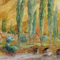 260330 Im Land der Amazonen B12