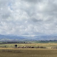 IMG_4072