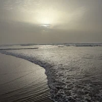 IMG_4384