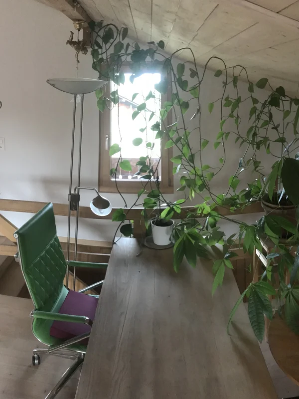 OG Arbeitsplatz 3