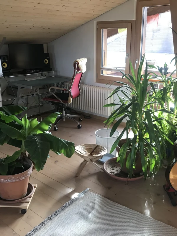 OG Arbeitsplatz
