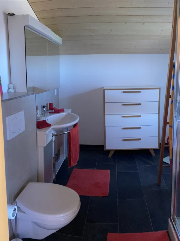 OG DuscheWC OG4
