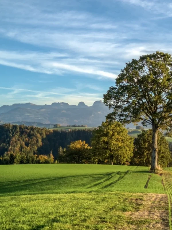https://www.fotocommunity.de/photo/aussicht-aus-dem-schwarzenburgerland-heinz-vonaesch/41989567