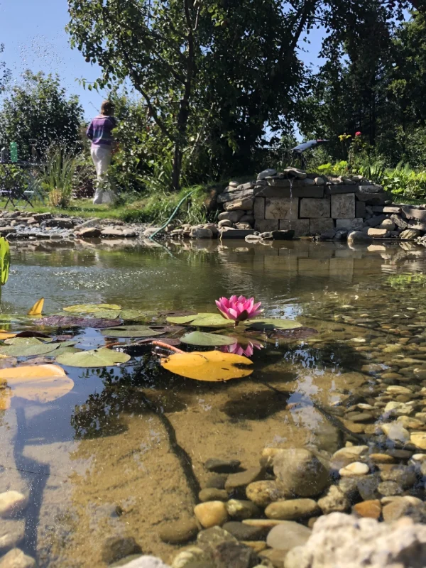 U Sommer Teich